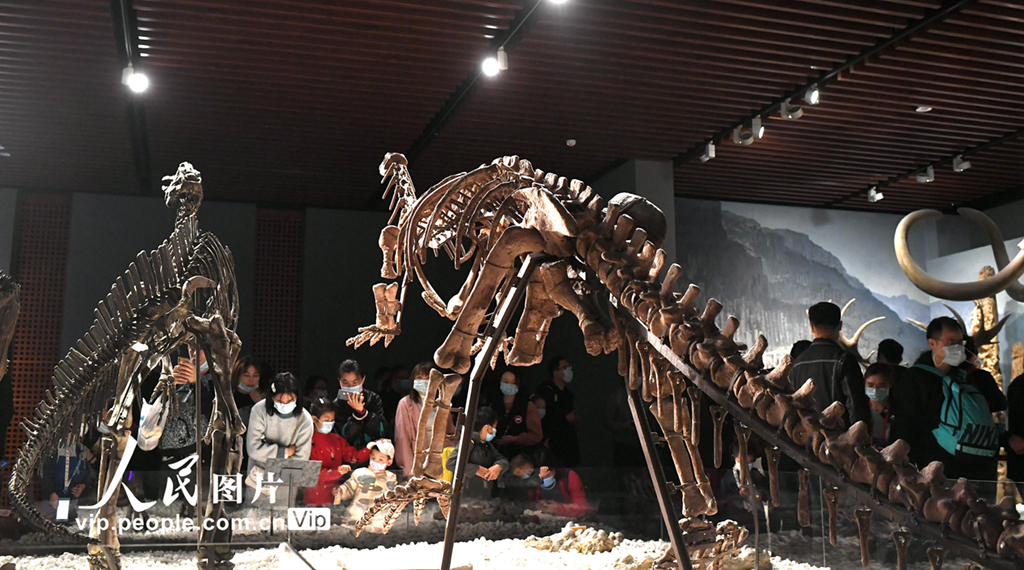 南京:博物院里度假期