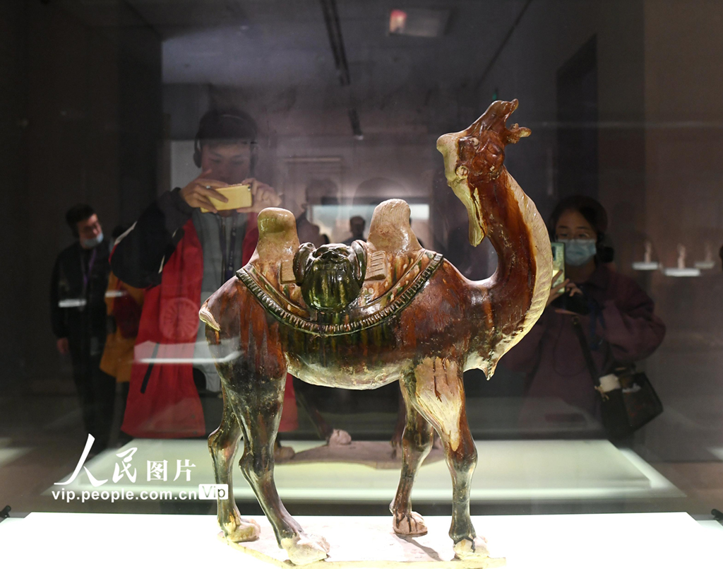 南京:博物院里度假期【7】