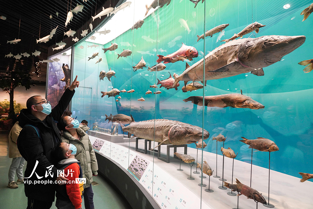 重慶：博物館里度假期