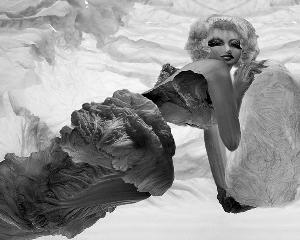 女藝術家用蔬菜重塑西方大師的傑作(圖)