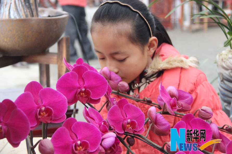 泉州市蘭花創意文化節暨海峽兩岸蘭花文化論壇開幕 泉州市蘭花創意文化節暨海峽兩岸蘭花文化論壇開幕