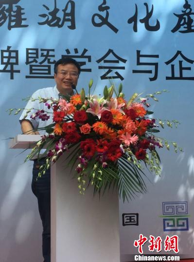 國際著名策展專家、深圳羅湖文產學會會長彭鋒教授 鄭小紅 攝