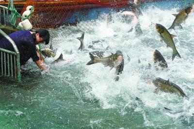 “舌尖2”亮高科技拍攝用具