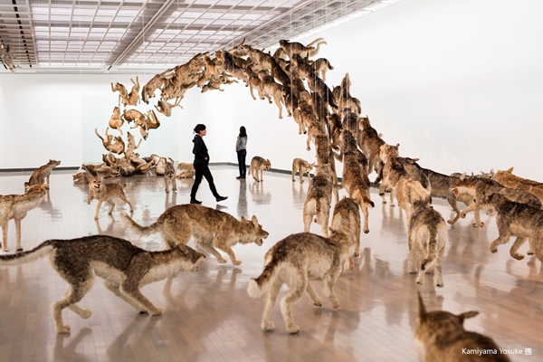 紀錄片《天梯：蔡國強的藝術》影評會在京舉行