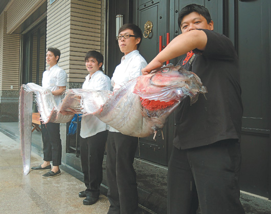 宜蘭釣得4米長“地震魚”4成年男子才抬動（圖）
