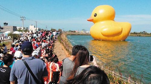 鴨迷人數“爆衝”破200萬臺灣大黃鴨提前消氣