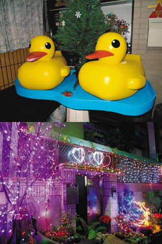 臺北百只小鴨迎聖誕花嘴鴨吉祥物倡環保意識