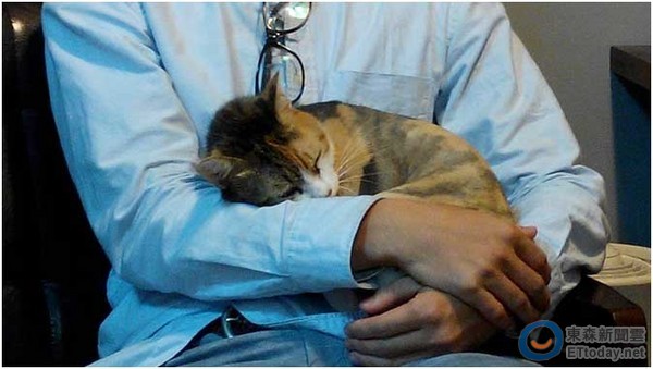 公關超強的“咪醬”就連第一次來拜訪的客人，也可以大辣辣的睡在人家懷里