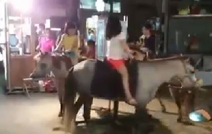 臺灣樂華夜市驚見“活體旋轉木馬”網友批:太殘忍。(臺媒圖)