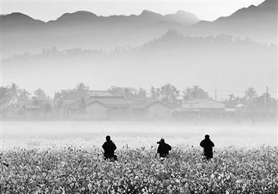 回歸自然挖到寶 臺灣鄉村重新“活”起來 回歸自然挖到寶 臺灣鄉村重新“活”起來