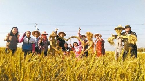嘉義舉辦“麥田狂想曲”活動 邀民眾感受獨特“麥香” 嘉義舉辦“麥田狂想曲”活動 邀民眾感受獨特“麥香”