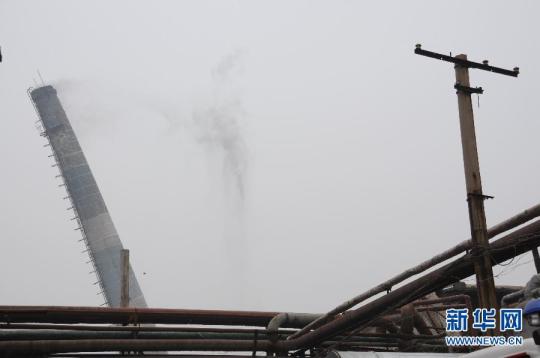 (生態)(2)<a href='http://103.249.53.35/gate/big5/search.xinmin.cn/?q-ifbase4-base20-PemZleilv+WSuOmYsw~~' target='_blank' class='keywordsSearch'><p align=