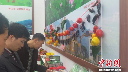 湖南西部農博會婁底揭幕14項目簽約引資逾27億