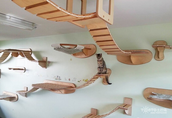 實用的寵物家具設計 給喵星人汪星人溫馨的家