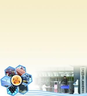 四項改革方案正在醞釀 試點央企勾勒改革路線圖 四項改革方案正在醞釀 試點央企勾勒改革路線圖