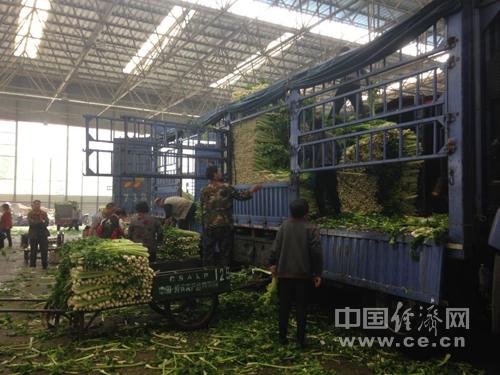 壽光農產品物流園如何"買全國 賣全國"