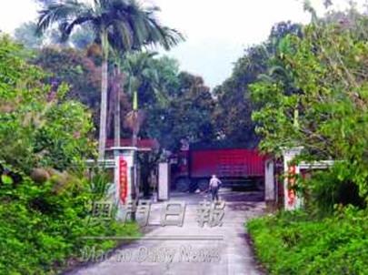 珠海撲殺8萬只供澳門活雞養殖場將獲經濟補償