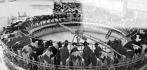 乳制品行業好戲依舊