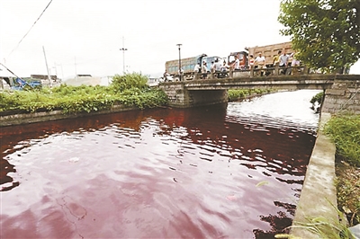 浙江蒼南縣驚現“血河” 現已恢復正常 浙江蒼南縣驚現“血河” 現已恢復正常