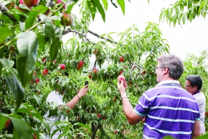 北京眾籌改變農業傳統消費模式 北京眾籌改變農業傳統消費模式
