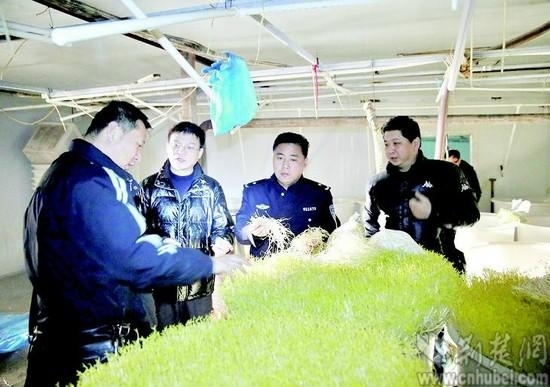 武漢搗毀4個毒豆芽生產窩點 繳獲毒豆芽10.75噸