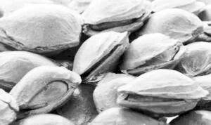 南京超市里新包裝的德芙巧克力