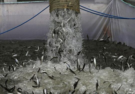 美加州遭遇<a href='http://103.249.53.35/gate/big5/search.xinmin.cn/?q-ifbase4-base12-PeaXseaDhQ~~' target='_blank' class='keywordsSearch'><p  align=