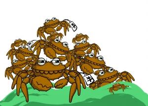 網售低價蟹券暗藏玄機：質量、重量或存問題