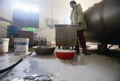 奶農把多余的鮮牛奶倒進奶站的下水道 攝/法制晚報記者 付丁