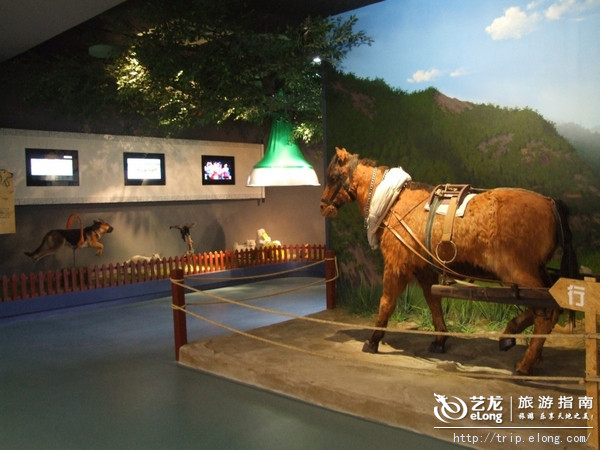 畜牧業發展新模式 休閒觀光畜牧業 畜牧業發展新模式 休閒觀光畜牧業