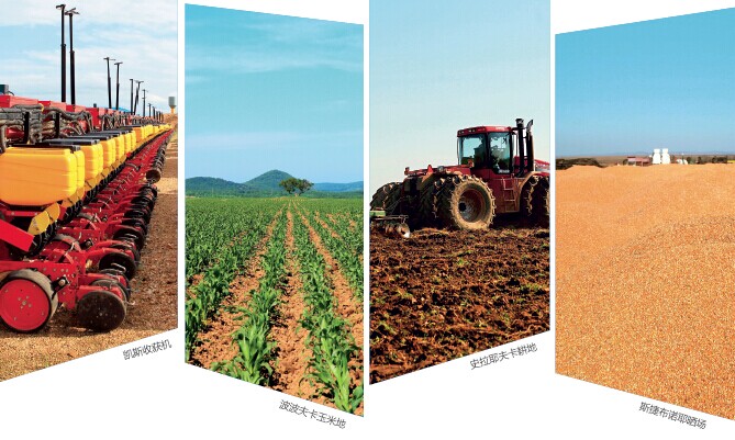 農企走出去遭政治瓶頸 :我國糧食進口配額不確定 農企走出去遭政治瓶頸 :我國糧食進口配額不確定