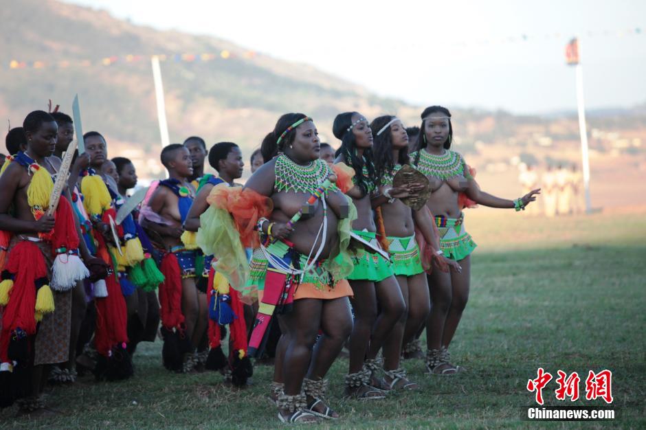 斯威士蘭蘆葦節開選秀女 十萬“甄嬛”苦盼國王垂青
