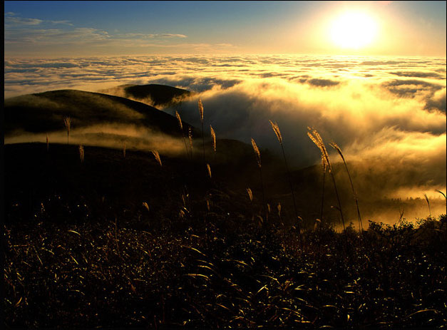 上海周邊5大隱秘度假地 上海周邊5大隱秘度假地