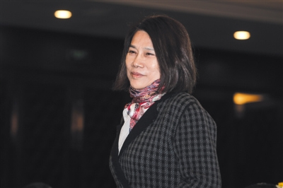 全國人大代表、格力電器董事長董明珠建議個人年收入5萬以下不繳稅，對于各類不合理的涉企費用應該給予取消。 新京報記者 彭子洋 攝