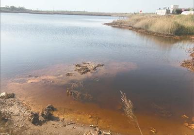 在天津市靜海區佟家莊村,污水滲坑周邊的9家企業均已倒閉或停產,仍散發出刺鼻的氣味。本報記者 靳 博攝