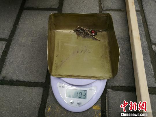 圖為現場對收集的塵土進行稱重。 張梟 攝