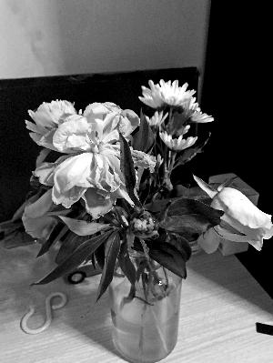 ▲網友照片顯示,收到的芍藥花“病怏怏”的。消費者供圖