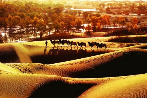 新疆處于用水透支狀態國土空間開發須以綠洲為主