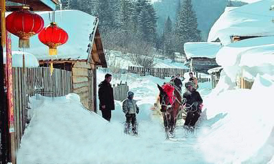 黑龍江省-一只展翅騰飛的天鵝