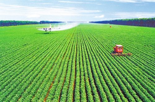 黑龍江省-一只展翅騰飛的天鵝