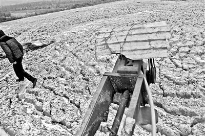 甘肅靜寧現水污染：自來水中竟有1厘米長蟲子（圖）