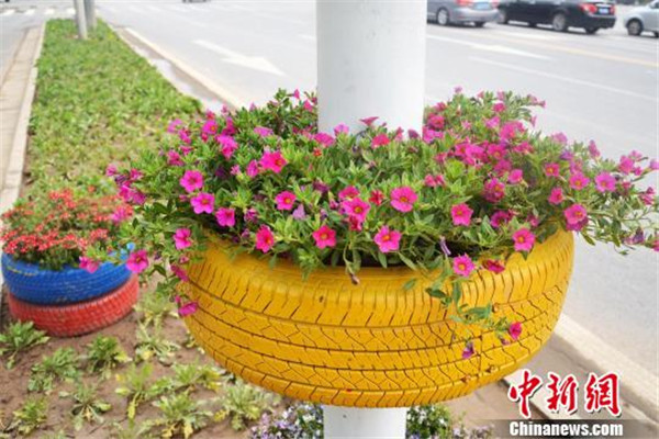 圖為既環保又美觀的“輪胎花籃”。馬義恆　攝