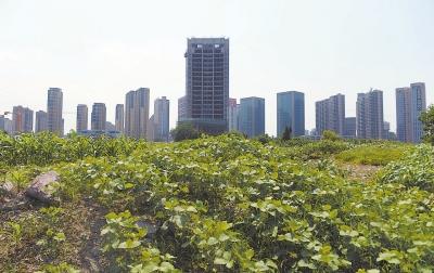 專家解讀不動產登記：能否遏制樓市非理性需求？