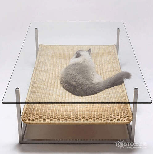 實用的寵物家具設計 給喵星人汪星人溫馨的家