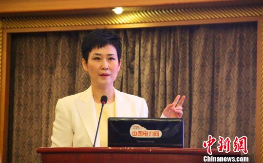 李小琳：中國東盟電力能源合作將為全球能源合作樹立典范