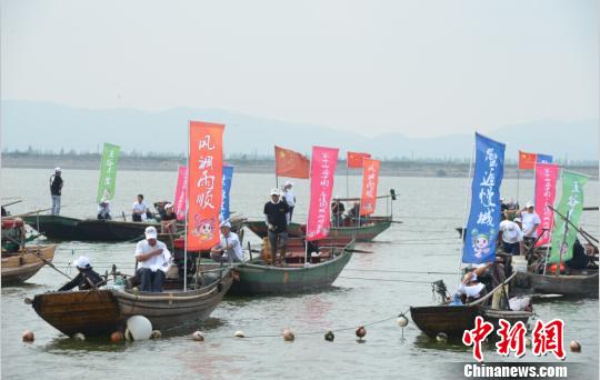 涼夏致固城湖螃蟹增產三成價格低蟹農仍憂銷路