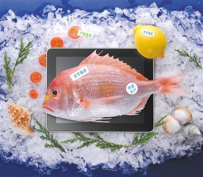 新的《消費者權益保護法》里有規定,網購食品7天內可以無理由退貨。 新的《消費者權益保護法》里有規定,網購食品7天內可以無理由退貨。