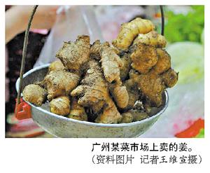 內地生姜批發價刷新10年新高 9月過後或會回落