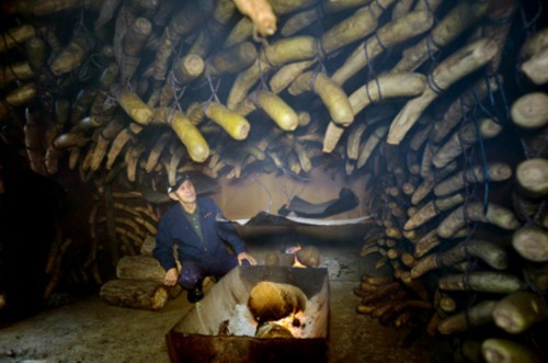 日本農民秘制熏蘿卜:12平米作坊內挂1500個蘿卜