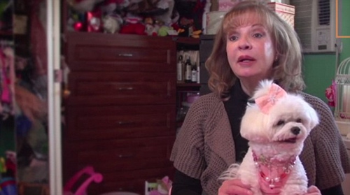 紐約富婆愛狗如命讓狗狗繼承百萬美元遺產（圖）